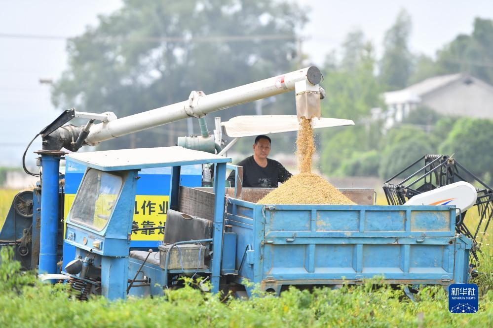 金沙游戏城